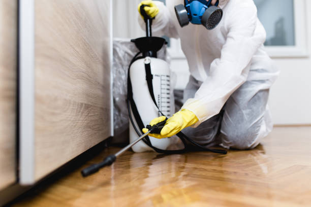 Best Pest Removal Services  in Country Lake Estates, NJ