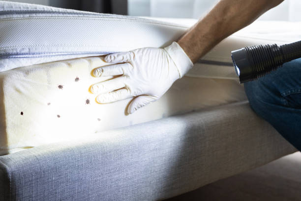 Reliable Country Lake Estates, NJ Pest Control Solutions
