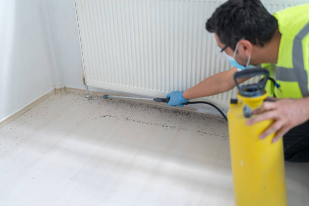 Best Bed Bug Extermination  in Country Lake Estates, NJ